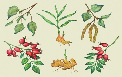 插畫風(fēng)格的植物營養(yǎng)水包裝設(shè)計(jì)案例